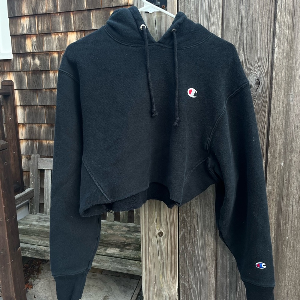 Small Cropped Champion Reverse Weave Hoodie